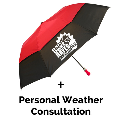 Umbrella + Consultation