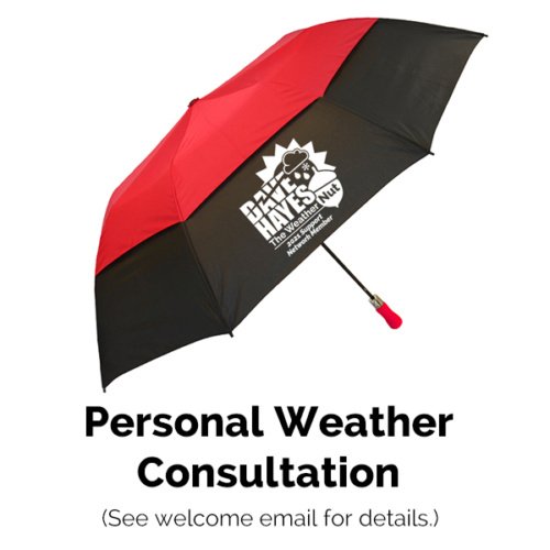 Umbrella and Consultation