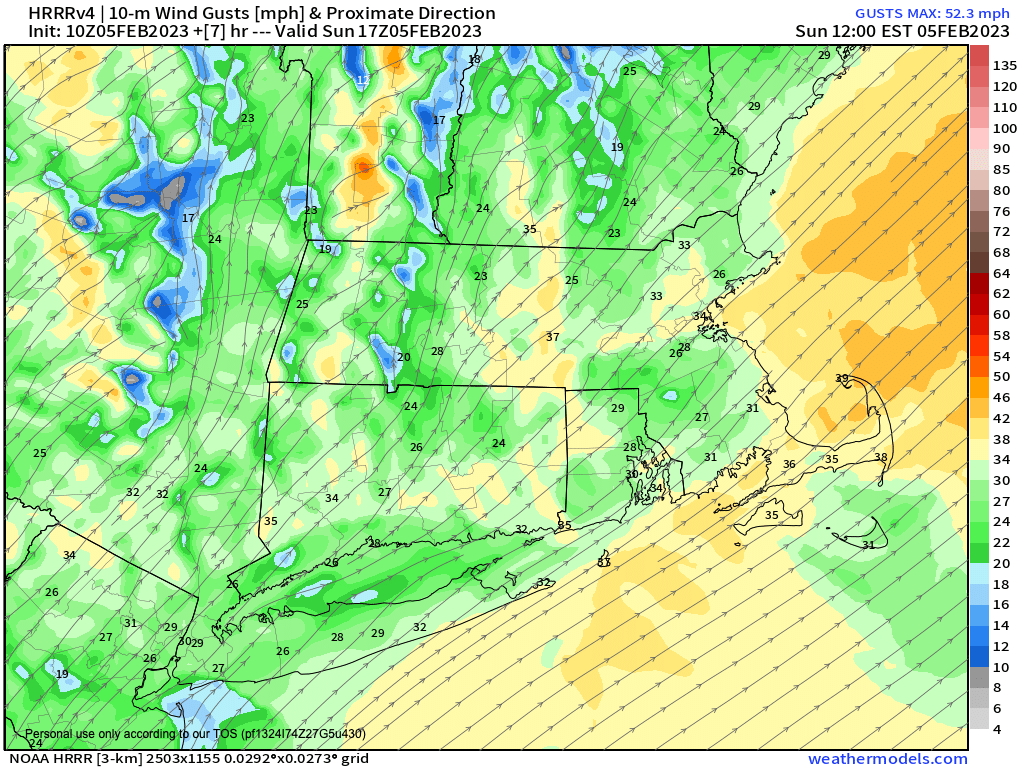 Gusty southwest winds today.