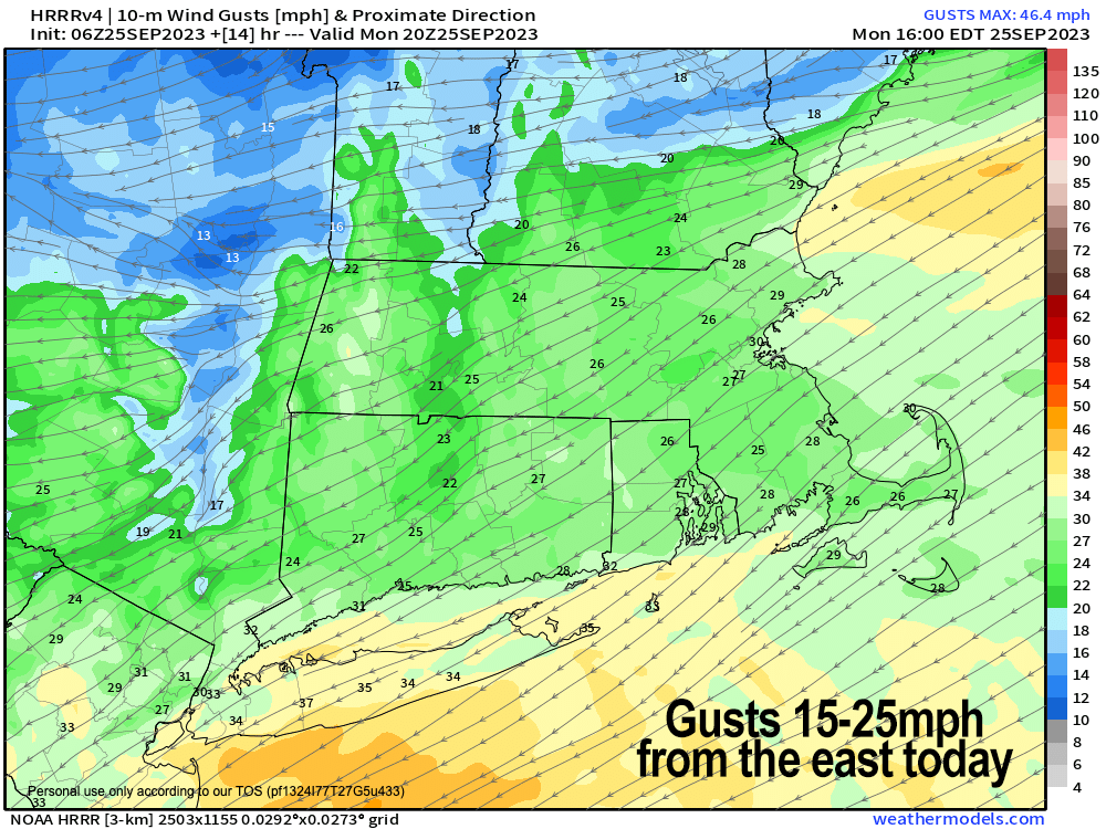 easterly gusts 15-25mph today