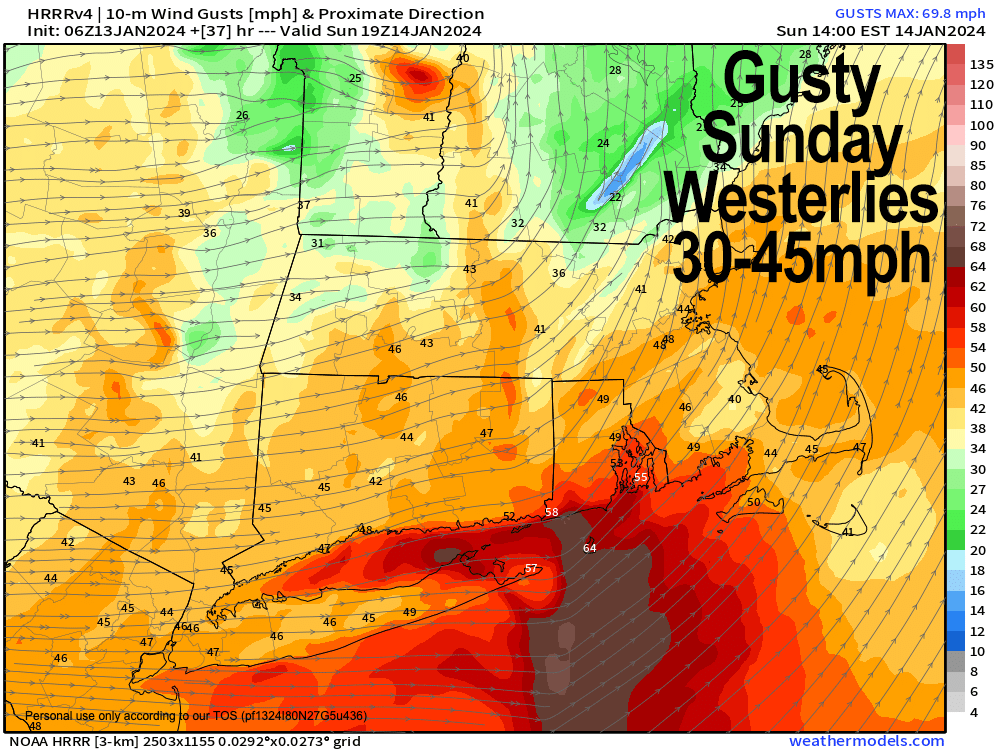 gusty sunday westerlies